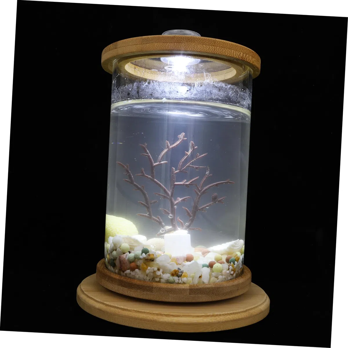 BESPORTBLE Microacuario De Botella Ecológica Pecera Decorativa Accesorio De Oficina