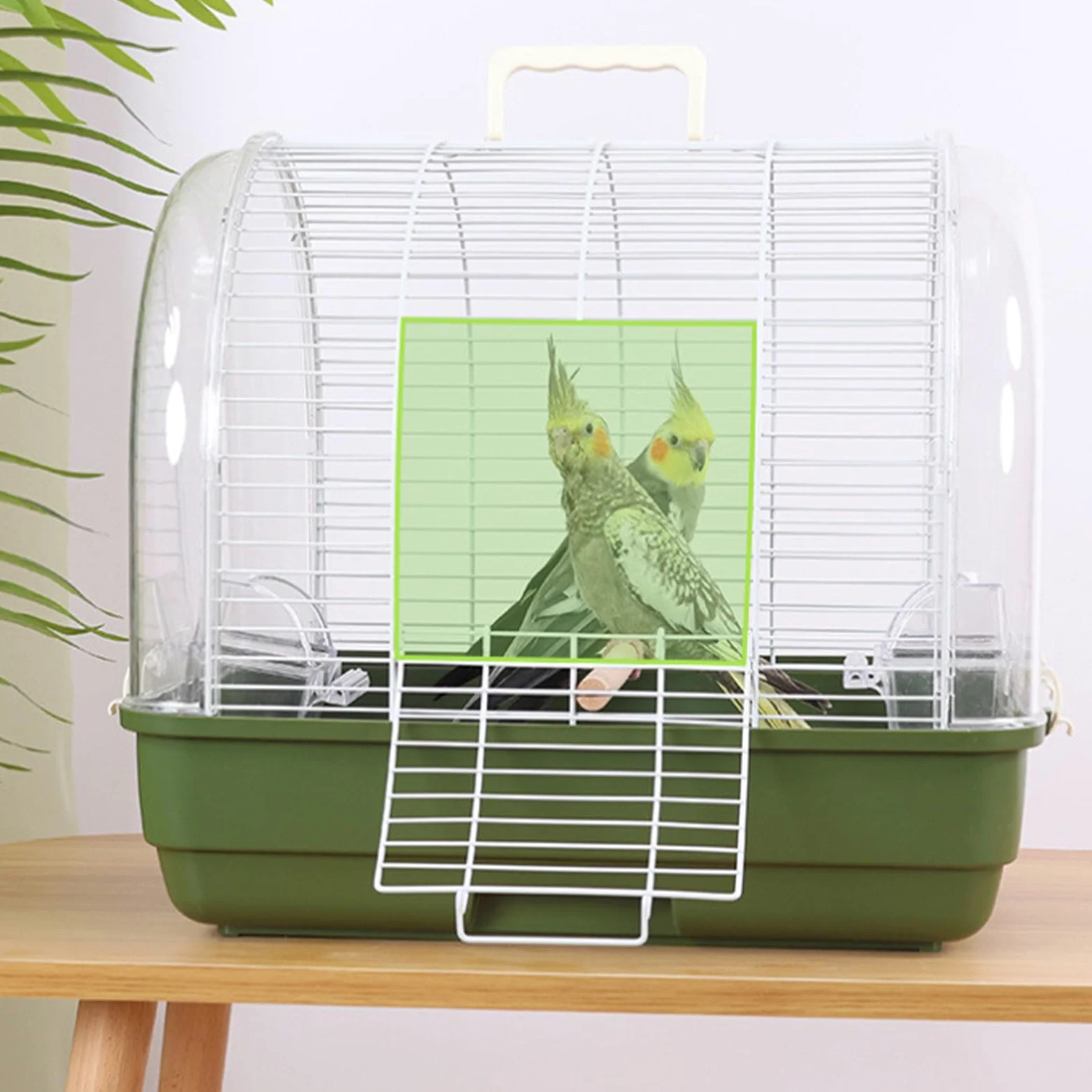 Transportín para Aves de Transporte con Posadero y Ventana Transparente | Jaula Para Conuros Y Otras Aves para Periquito Canario Cacatúa Ninfa y Dragón Barbudo