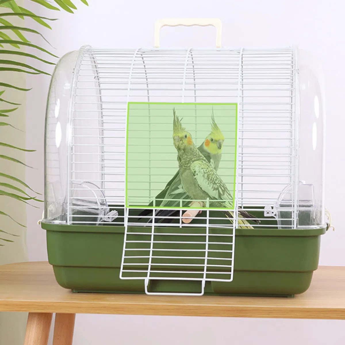 Transportín para Aves Jaula de Viaje Portabicados con Posadero y Ventana | Transportín para Aves Pequeñas Para Periquitos, Cacatúas, Canarios y Dragón Barbudo
