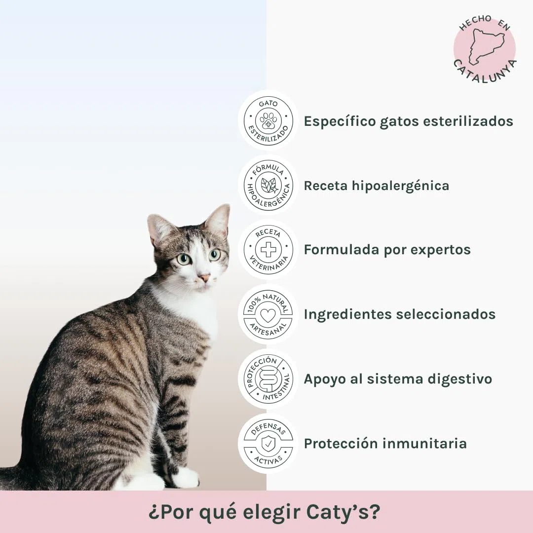 Caty’s Pienso Natural para Gatos Esterilizados 12 Kg - Comida Seca de Salmon – Comida Hipoalergenico de Alta Digestion - Sin Maíz ni Soja - Producto Nacional 100%