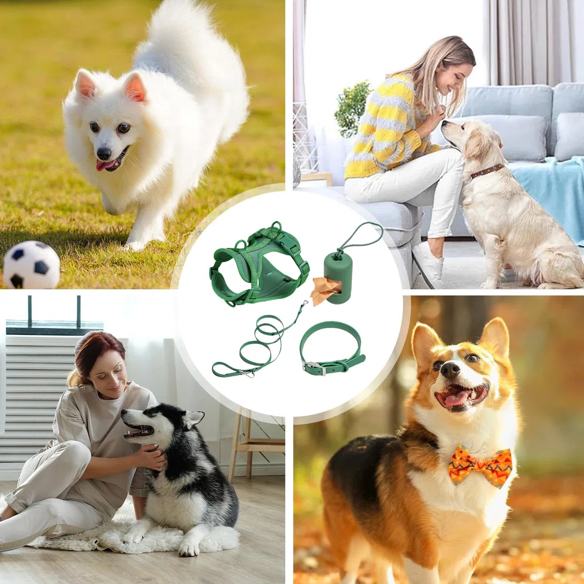Juego de correas para perros | Collar ajustable para perros – Juego de | correa "Step in No Pull" arnés para mascotas para perros y cachorros con soporte para bolsas de caca