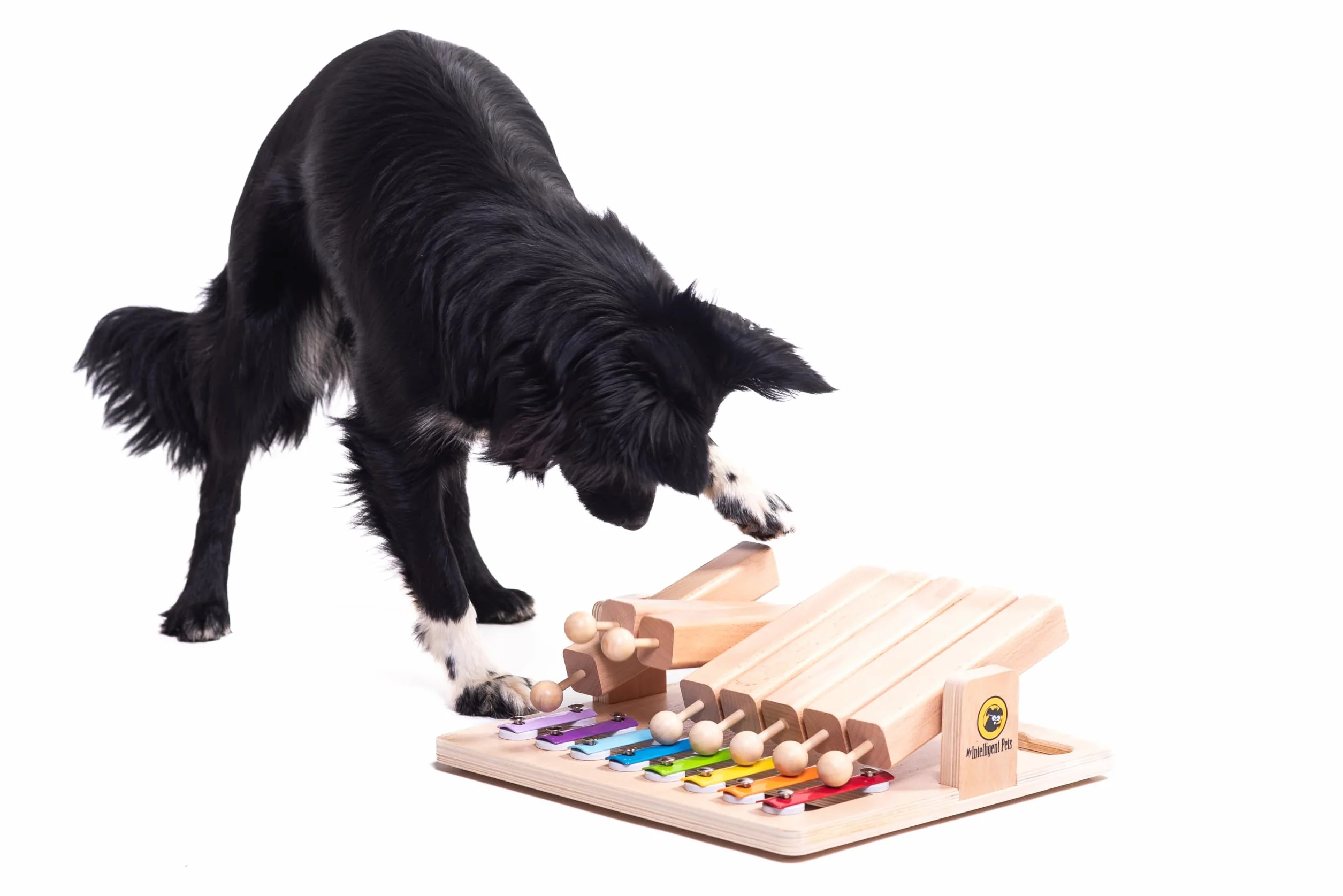 Piano - Juguete Interactivo Inteligente de Madera para Perros y Gatos - My Intelligent Dogs | Juguetes de inteligencia para perros Uso mental - Juguete interactivo Perro, Juegos de pensamiento para perros