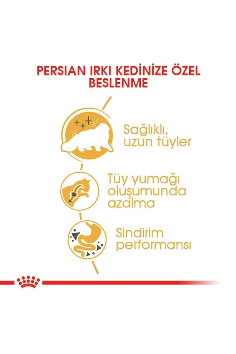 Royal Canin Persian - Pienso para gatos de raza persa 4Kg