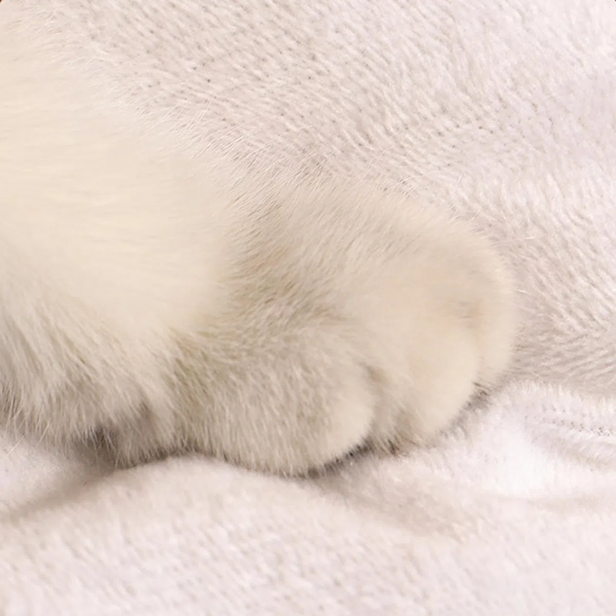 Cama de dormir para gatos – Cama para mascotas semicerrada | Cama de dormir y cálida, tienda de campaña para mascotas pequeñas, gatos y cachorros | Tienda Cálida Acogedora Cuevas Camas Suave Felpa Nidos Calentita Para Perros Pequeños Gatos Cachorros