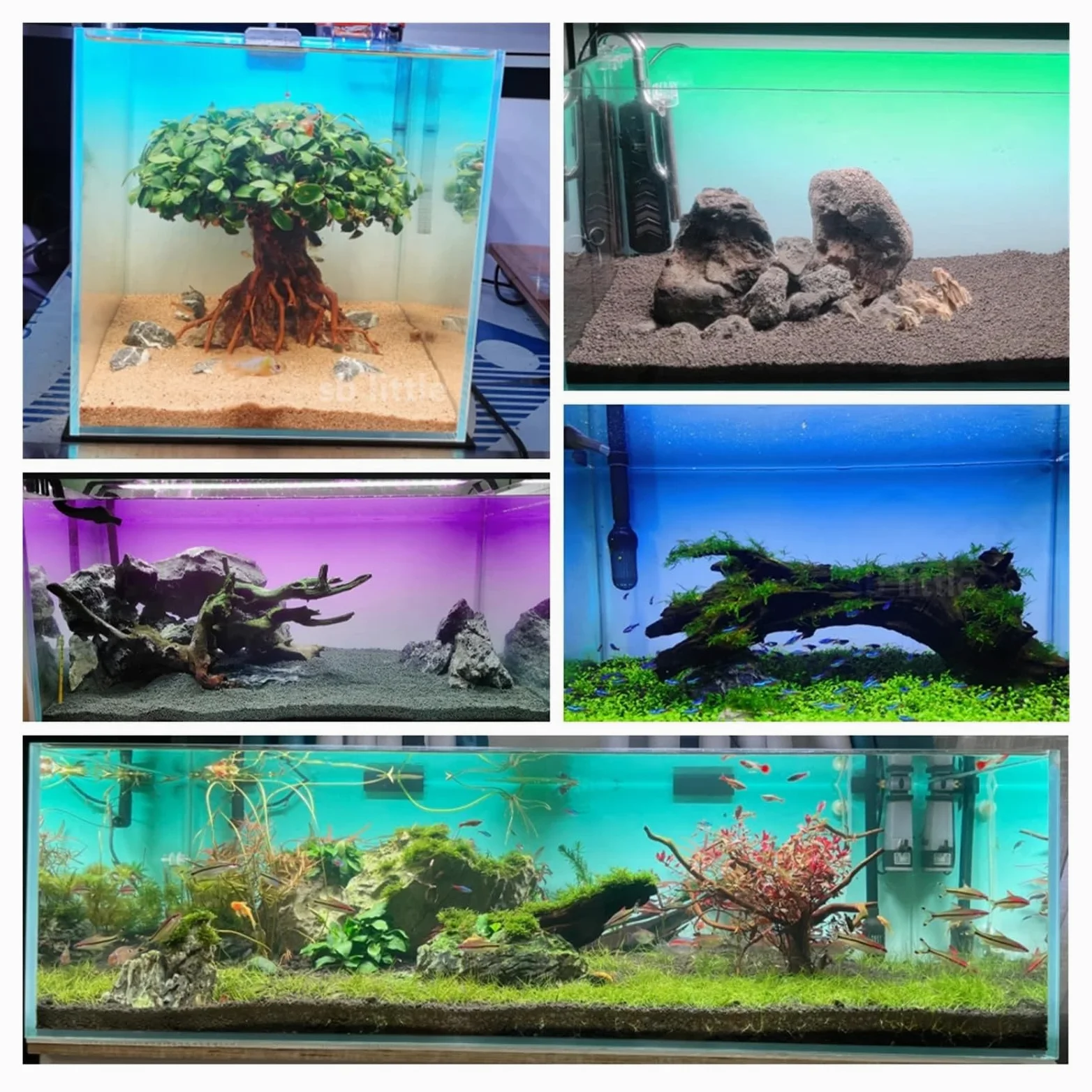 Fondo Acuario Adhesivo de Fondo for pecera, Degradado, impresión Sencilla, Papel Tapiz, Decoraciones for Acuario PVC(Green,50x80cm)