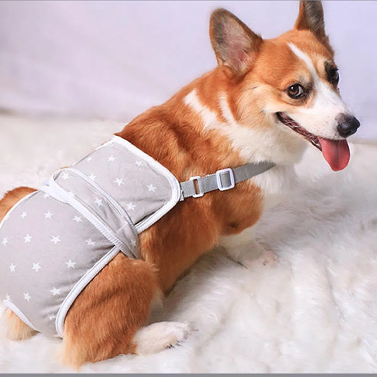 Pañales para Perros Hembra a Prueba De Fugas Reutilizable Bragas Perras Menstruales para Apartamento Medio Pequeño Pañales Perro Hembra Elástico(XL,Set C)