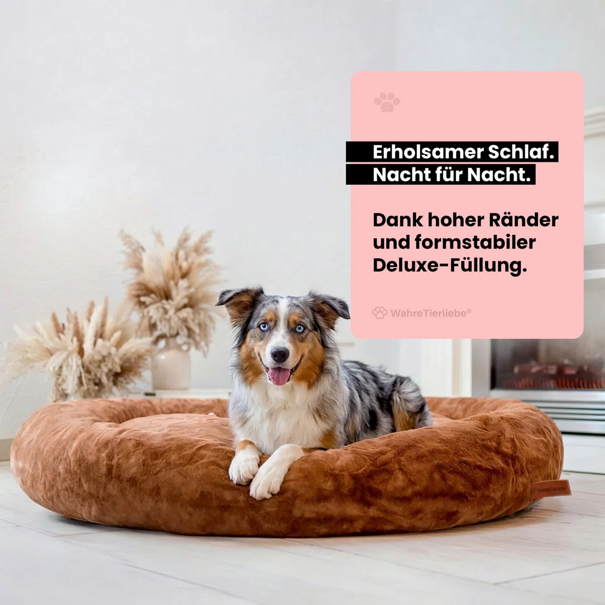 Wahre Tierliebe Cama para perros Cloud 7 [Plus] – El original, con funda lavable [S, 70 cm, gris] Cojín para perros, cesta para perros, cama mullida para perros grandes, medianos y pequeños