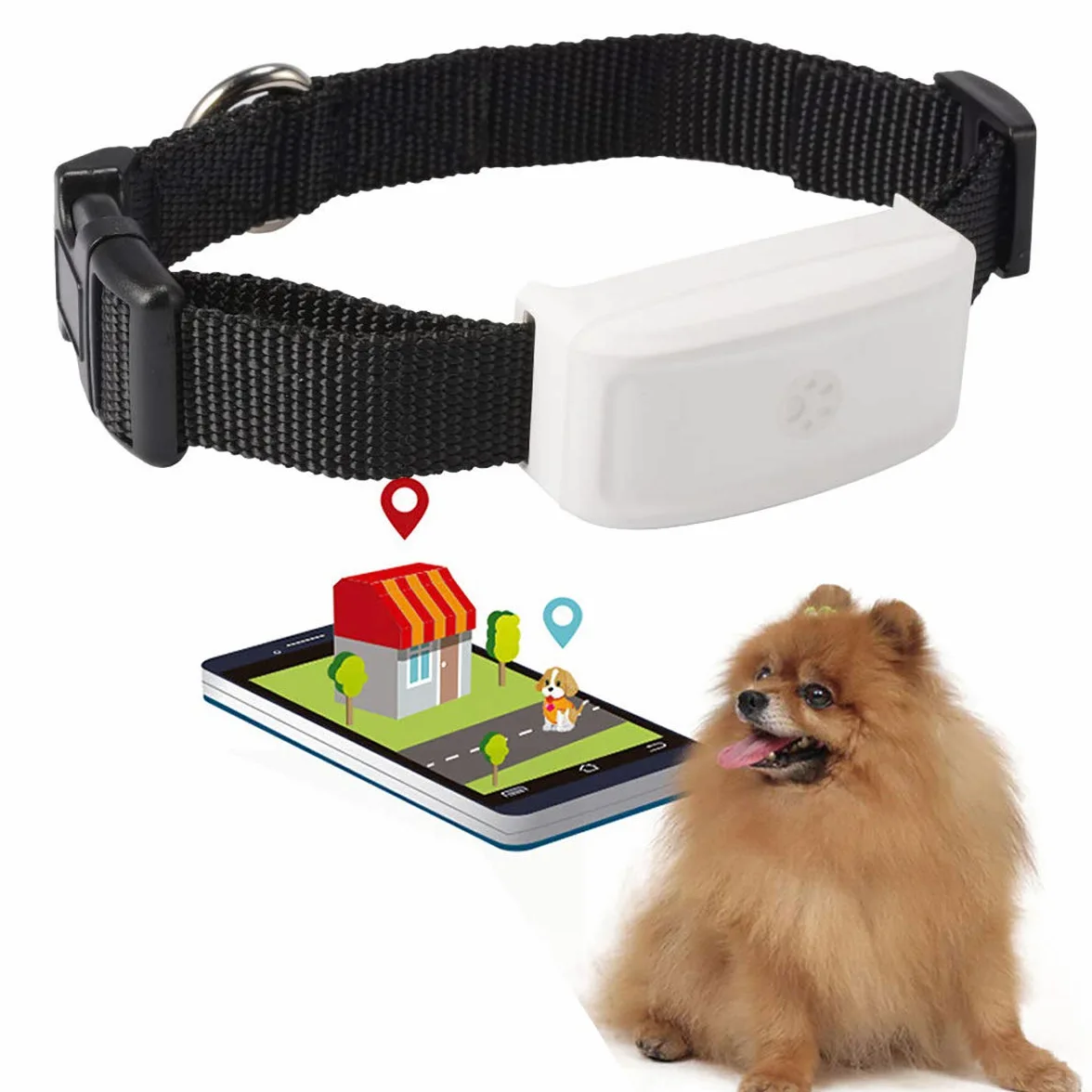 Localizador GPS para Perros y Gatos Tiempo Real Pequeño GPS Tracker con Historial de Ruta, Dispositivo de Alarma Impermeable APP Gratuita TK911