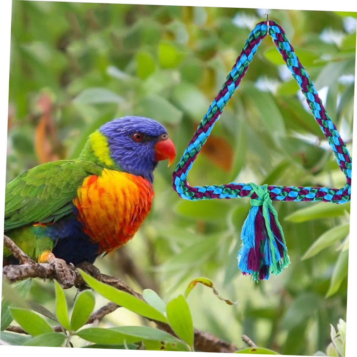 FOMIYES 4piezas Juguetes para Pájaros Columpio De Algodón para Periquitos y Juguetes Colgantes para Masticar y Jaulas