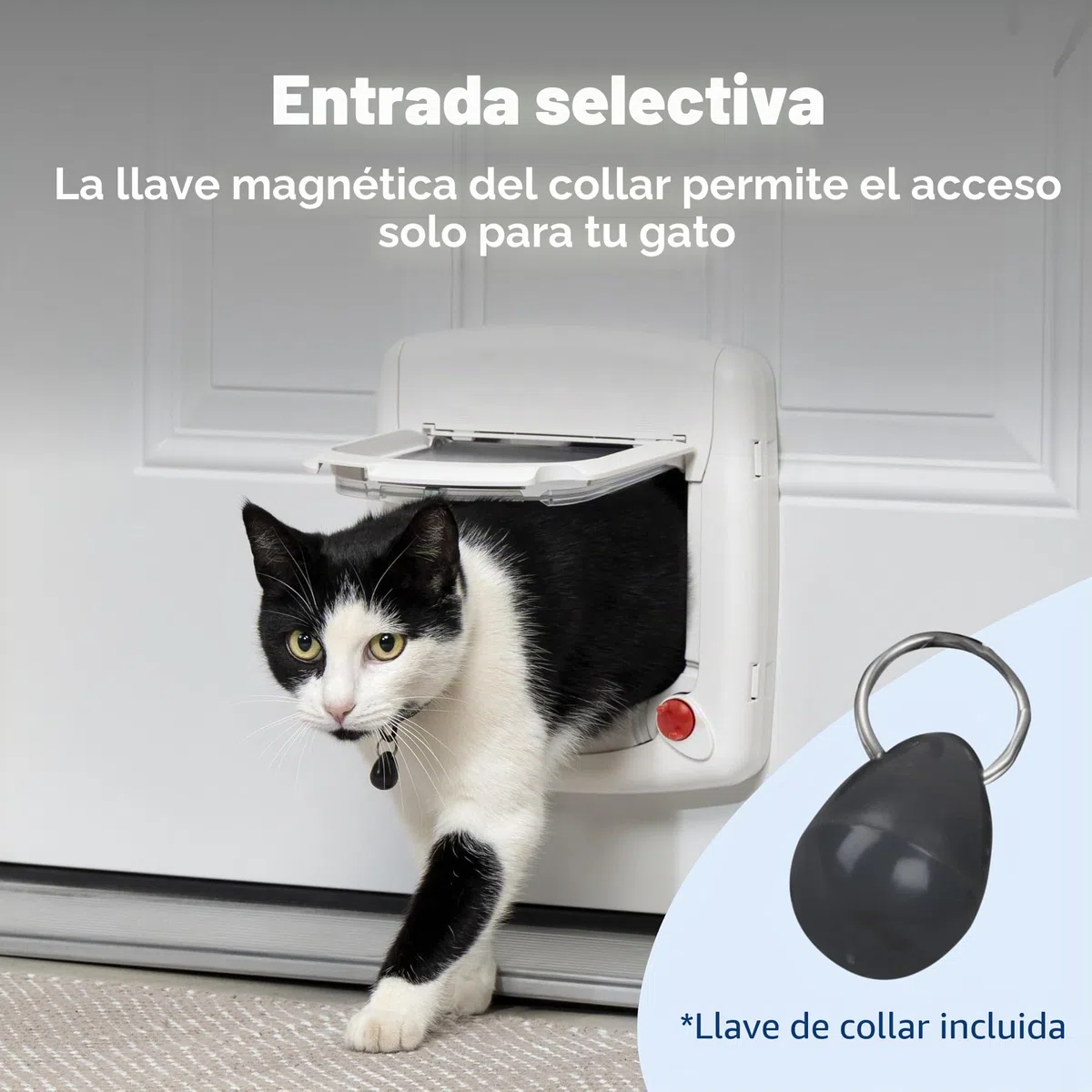 PetSafe - Staywell Deluxe - Gatera magnética