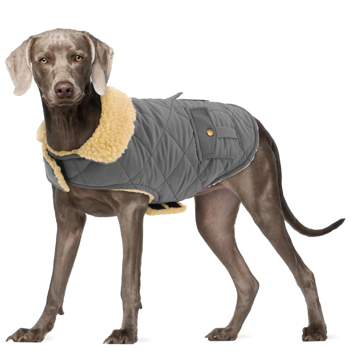 Abrigo Grande para Perro, Chaqueta cálida para Perros extragrandes, Abrigo de Invierno para Perro, Resistente al Viento, Abrigos para Clima frío, Chaqueta de Nieve para Perros, Ropa para Mascotas,