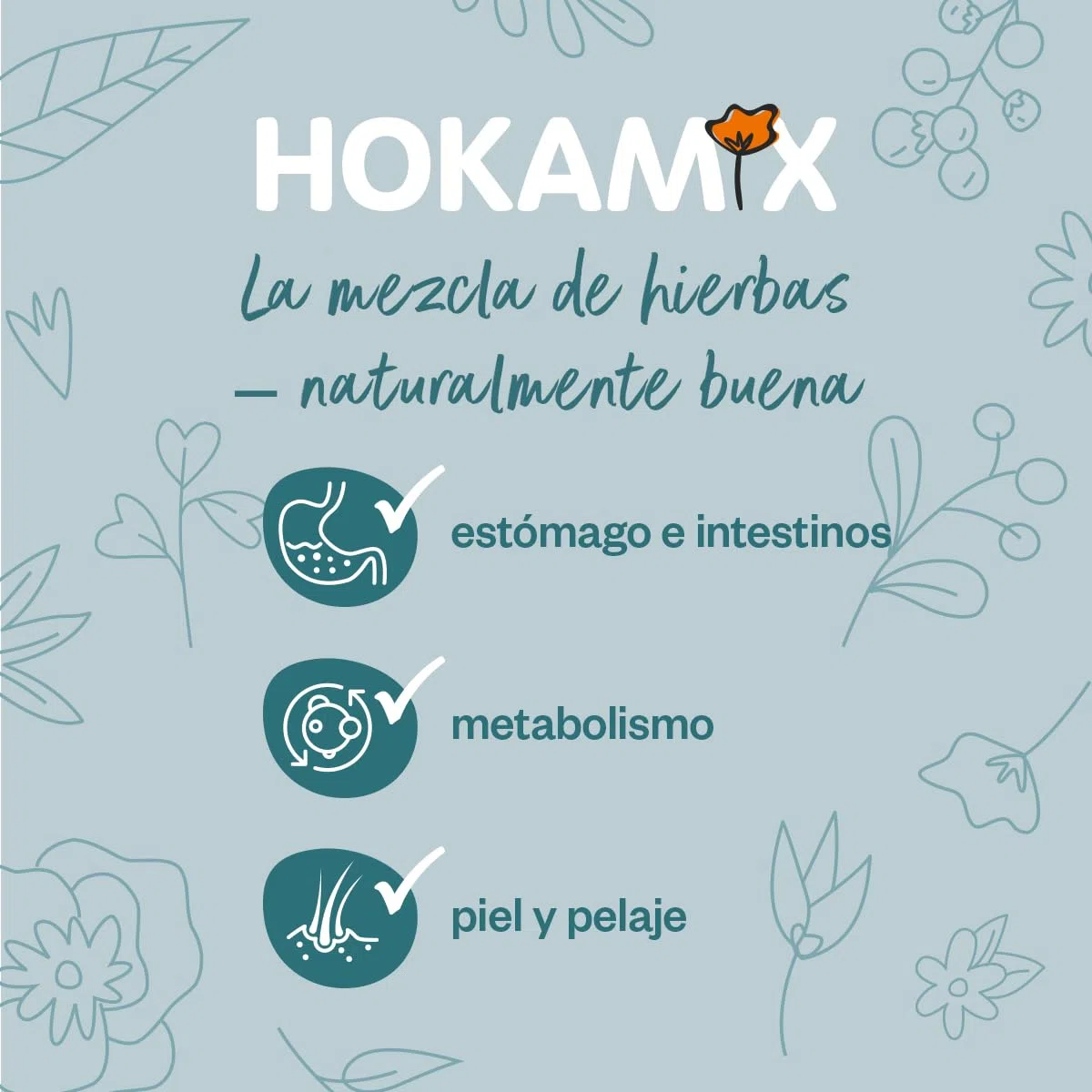 GRAU – el Original – Hokamix Vitality Booster Snack Mini, Paquete de 1 (1 x 4,5 kg), alimento complementario para Perros