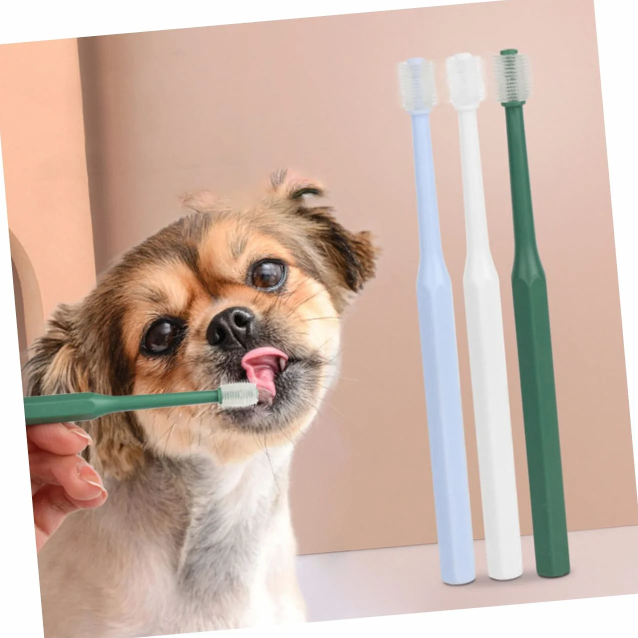 Toddmomy 12piezas Cepillo De Dientes Para Mascotas De Azules y Cepillo Manual Portátil Para Limpieza Oral De Perros y Gatos Accesorios De Higiene Para Mascotas