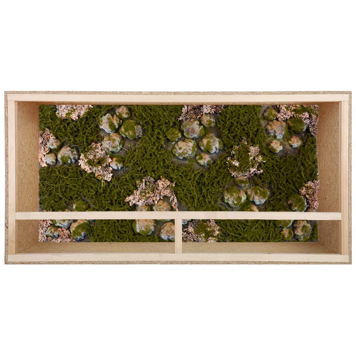 Fondo decorativo para terrario 3D, aspecto natural, 116 x 58 cm, para terrarios de 120 x 60 cm