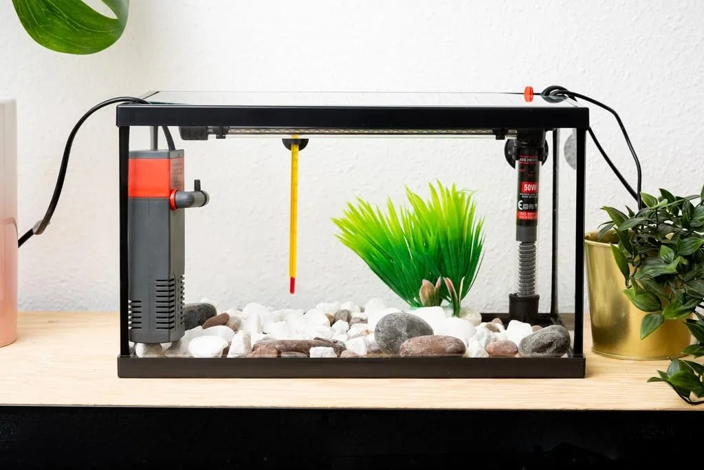 Acuario Cristal con Marco Negro 20 L. Kit Completo (XIL)