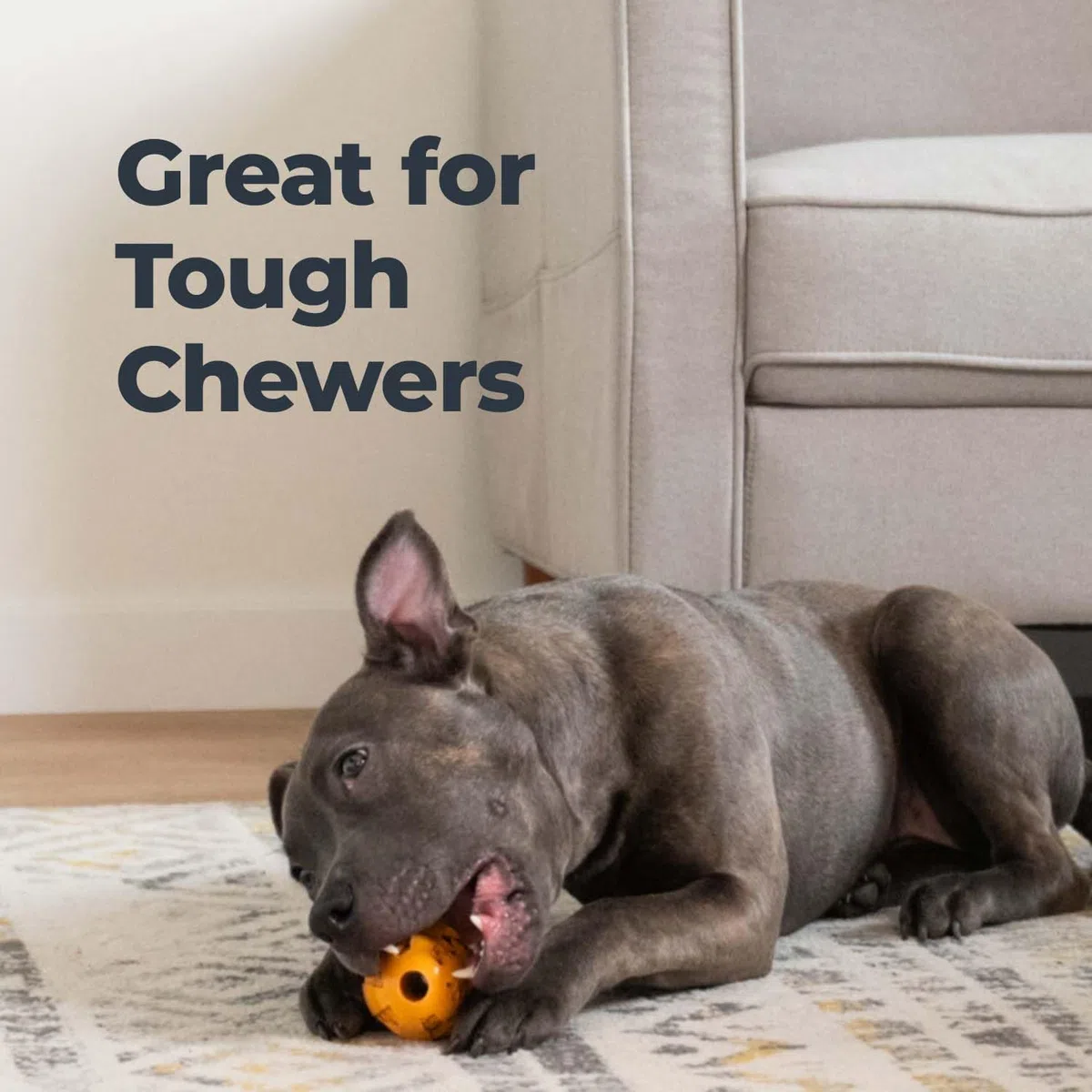 Oxyfresh Juguete dental para perros, el mejor juguete masticable de goma duradero para masticadores agresivos, elimina la placa, limpia los dientes y refresca el aliento sin cepillarse (grande)