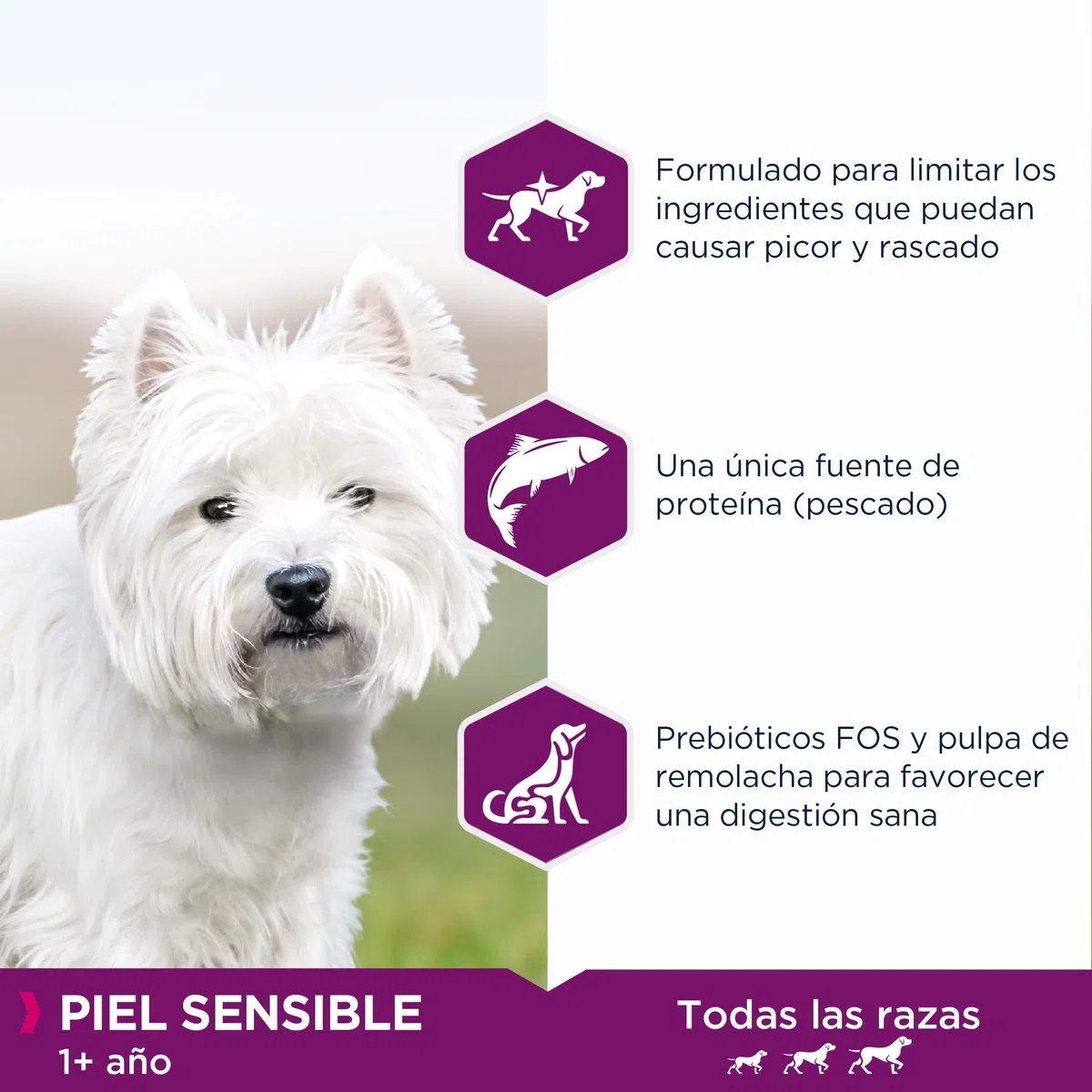 EUKANUBA Daily Care Alimento seco para perros adultos con piel sensible, alimento hipoalergénico con pescado, 12 kg
