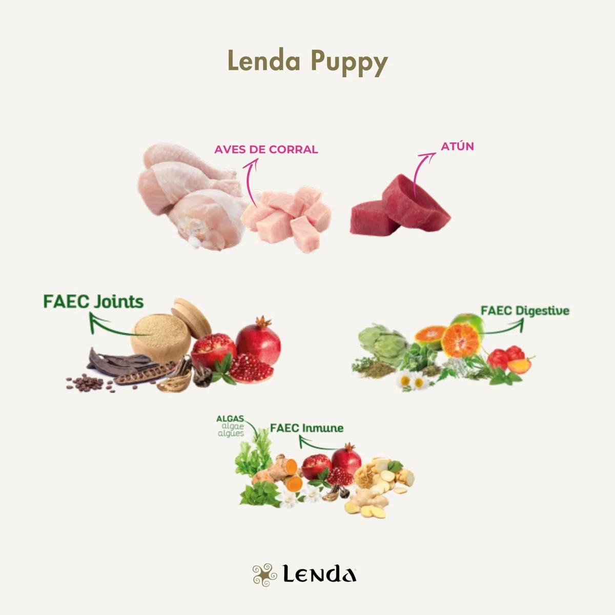 Lenda Puppy 12Kg - Pienso para Cachorros de Todas Las Razas - Pienso Hipoalergénico - Comida para Perros Bebés Rica en Pollo - Natural