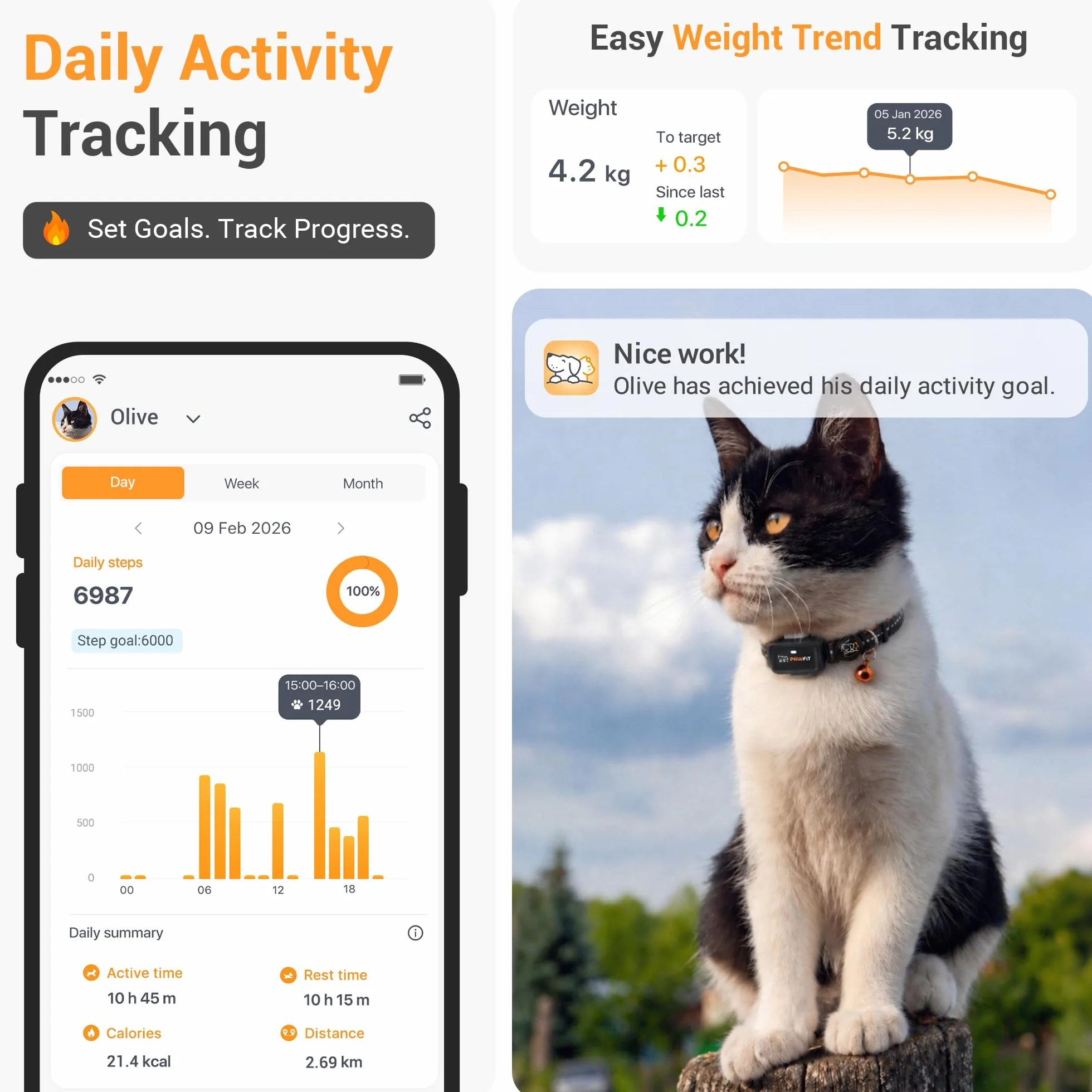 Pawfit Lite - Rastreador GPS 4g para gatos | Diseño ultra pequeño (<18g) | Seguimiento en tiempo real | Monitoreo de actividad | Historial de ubicaciones | Alcance ilimitado | Collar de seguridad