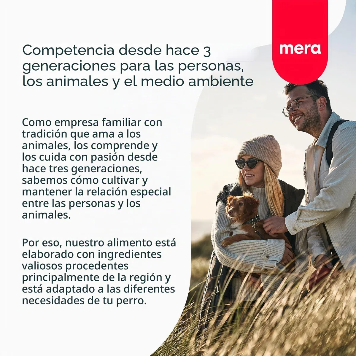 MERA Pure Sensitive - Comida para Perros Adultos de Cordero y arroz - Alimento seco para la Dieta Diaria