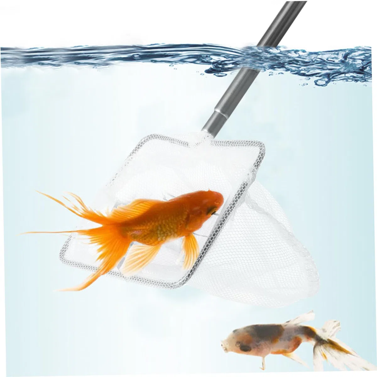 3 Piezas De Red De Pesca para Pecera Mango Extensible Red De Pesca para Camarones De a para Peces De a con Mango De Acero Inoxidable es De a para