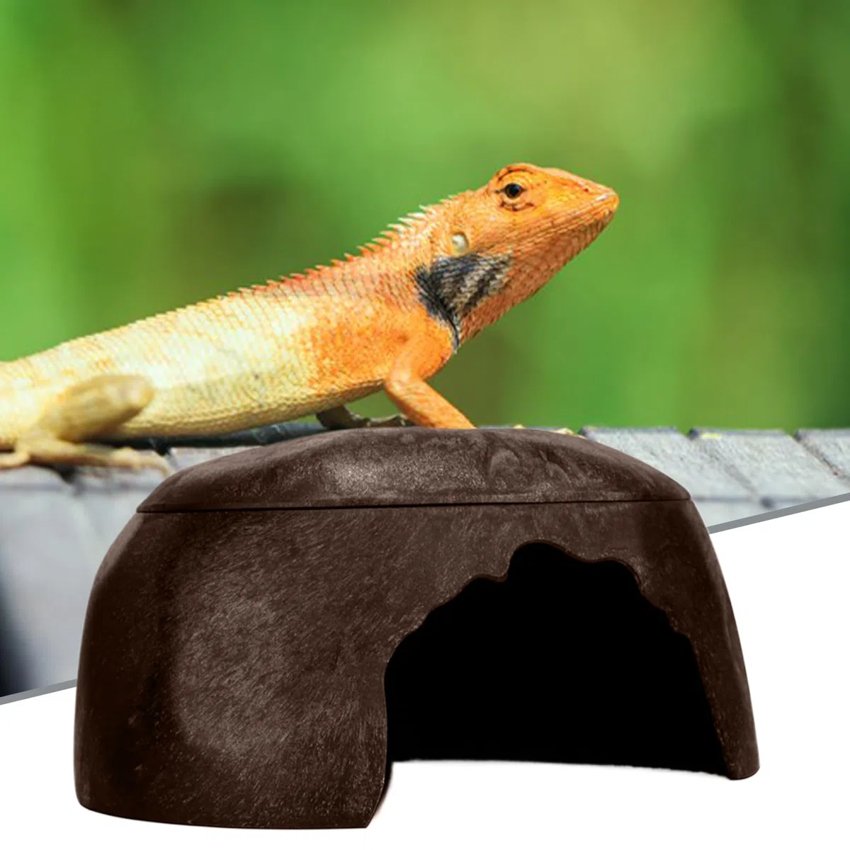 Hábitat para Reptiles Y Cuevas Refugio Compacto y Accesorios para Terrario | Hábitat Para Reptiles para Interiores, Exteriores, Jardín Serpientes, Tortugas, Ranas, Lagartijas, Geckos