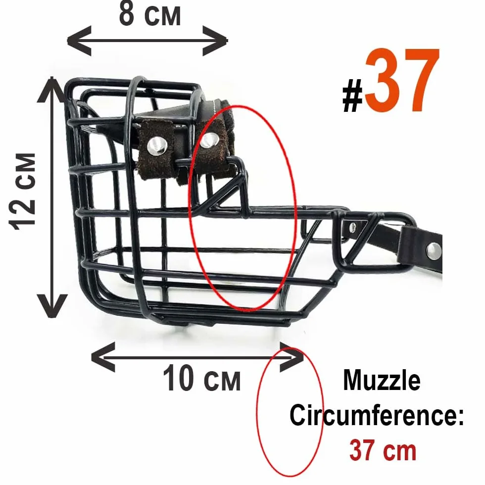 Bozal de Metal para Perro #37 para Amstaff y Pit Bull - Cesta de Alambre recubierta de plástico para Calavera Ancha - Correas de Cuero Transpirables y Ajustables
