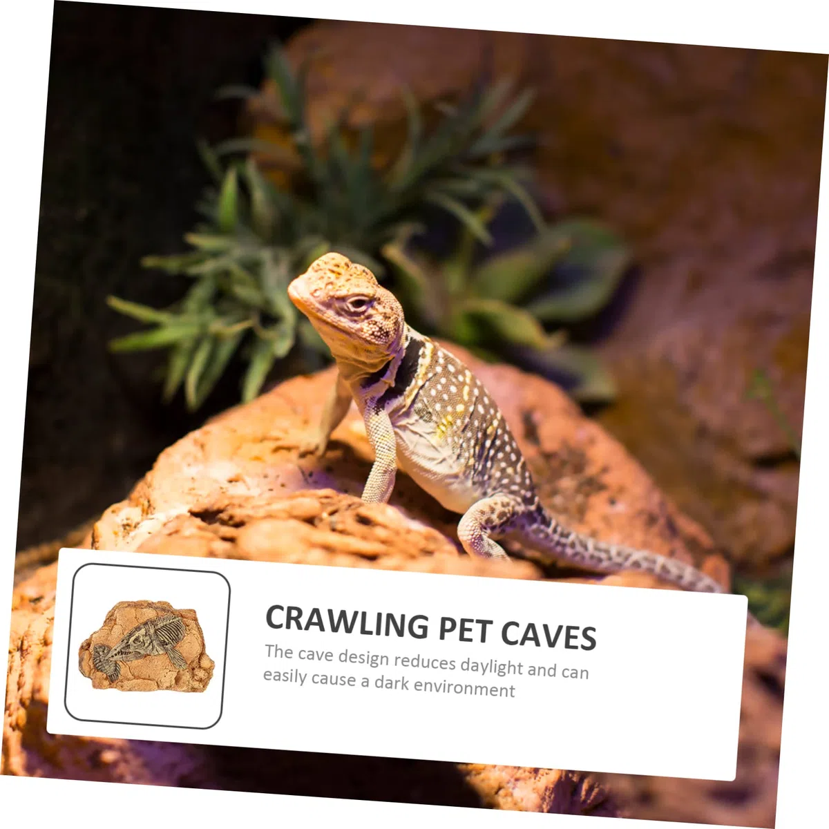 Plataforma De Reptiles Cueva Oculta para Refugio Natural De Resina para Tortugas y Serpientes Decoración De Estable y Duradera