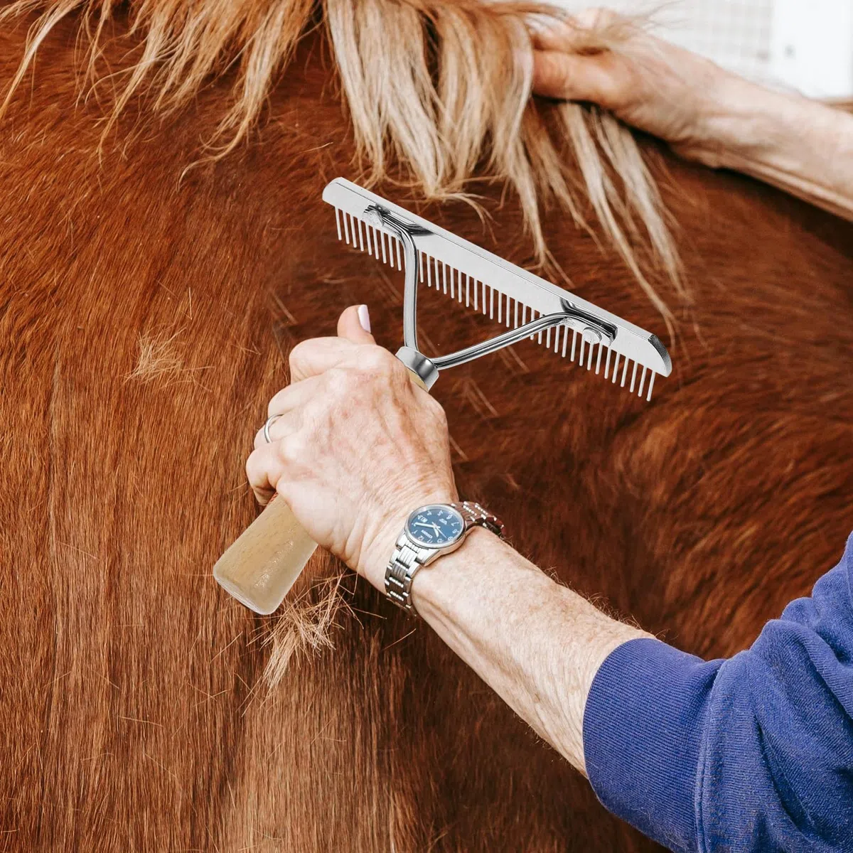 balacoo 3 peines de rastrillo de uñas de caballo, peine de pelo de caballo duradero, peine de acero para pelo de mascotas, herramienta de extracción de melena de mascotas, cepillo de pelo de caballo,