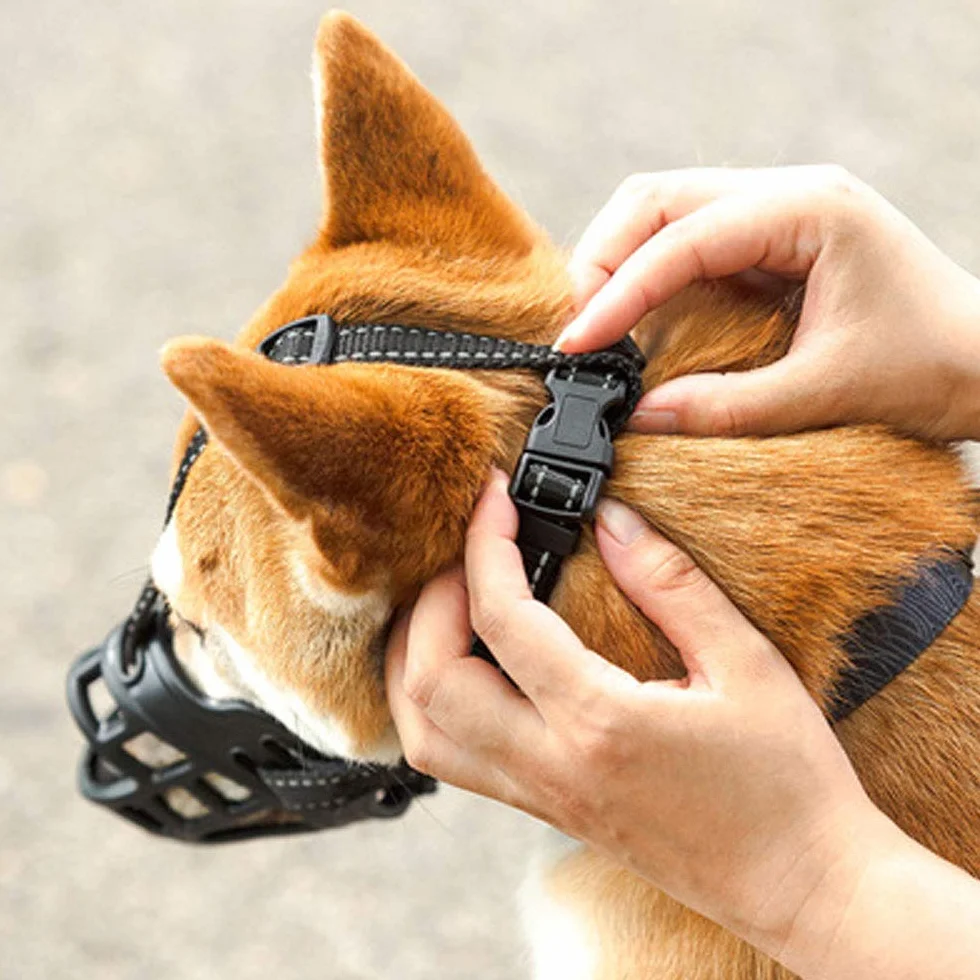 Bozal Transpirable y Ajustable for Perros for prevenir mordeduras Que coman Mal