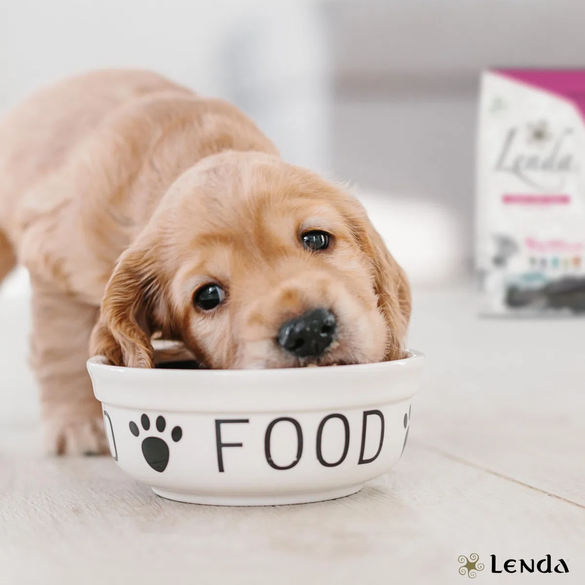 Lenda Puppy 12Kg - Pienso para Cachorros de Todas Las Razas - Pienso Hipoalergénico - Comida para Perros Bebés Rica en Pollo - Natural