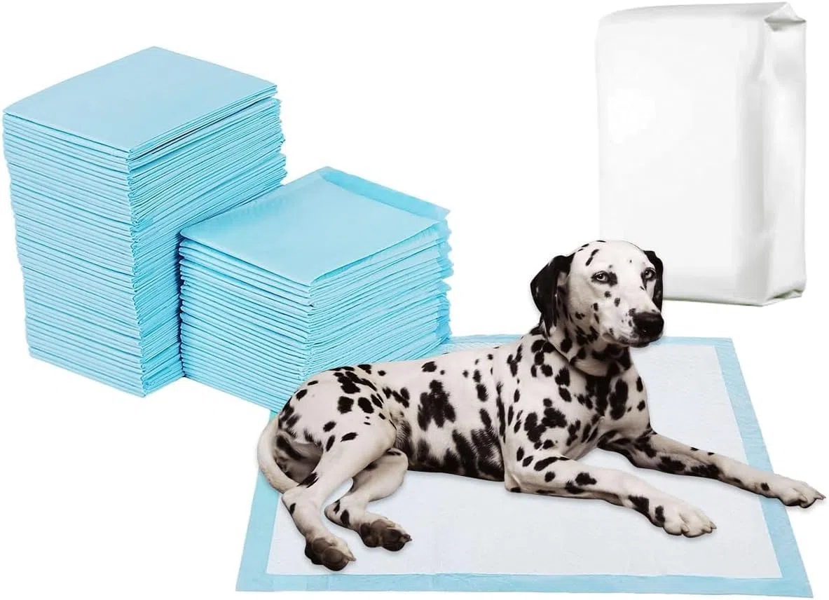 Empapadores para Cuidado de Mascotas. Alfombrillas Impermeables para Entrenamiento de Mascotas. A Prueba de Fugas. Alfombrillas higiénicas Desechables diseñadas para Mascotas (60 X 60 cm, 300)