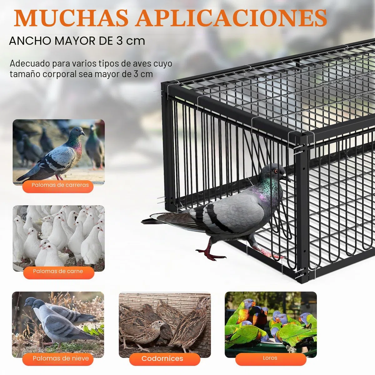 Jaula para palomas, 60 cm, para recoger codornices (negro)