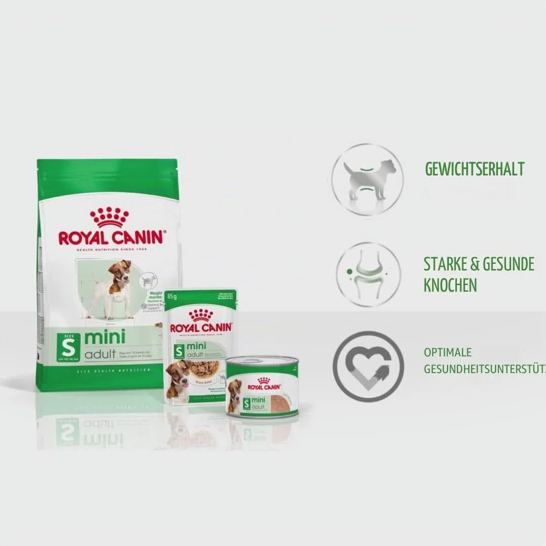Royal Canin Mini Adult en Salsa | Pack de 4 | 4 x 12 x 85 g | Comida húmeda para Perros pequeños Adultos (de 1 a 10 kg) | De 10 Meses a 12 años | Contenido energético Ajustado