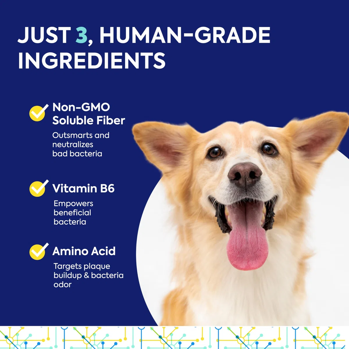 TEEF! Protektin42+K Cuidado dental diario derivado de plantas para todas las mascotas (sin sodio), aditivo de agua dental, combate naturalmente la placa y el sarro, kit dental con 90 porciones de por