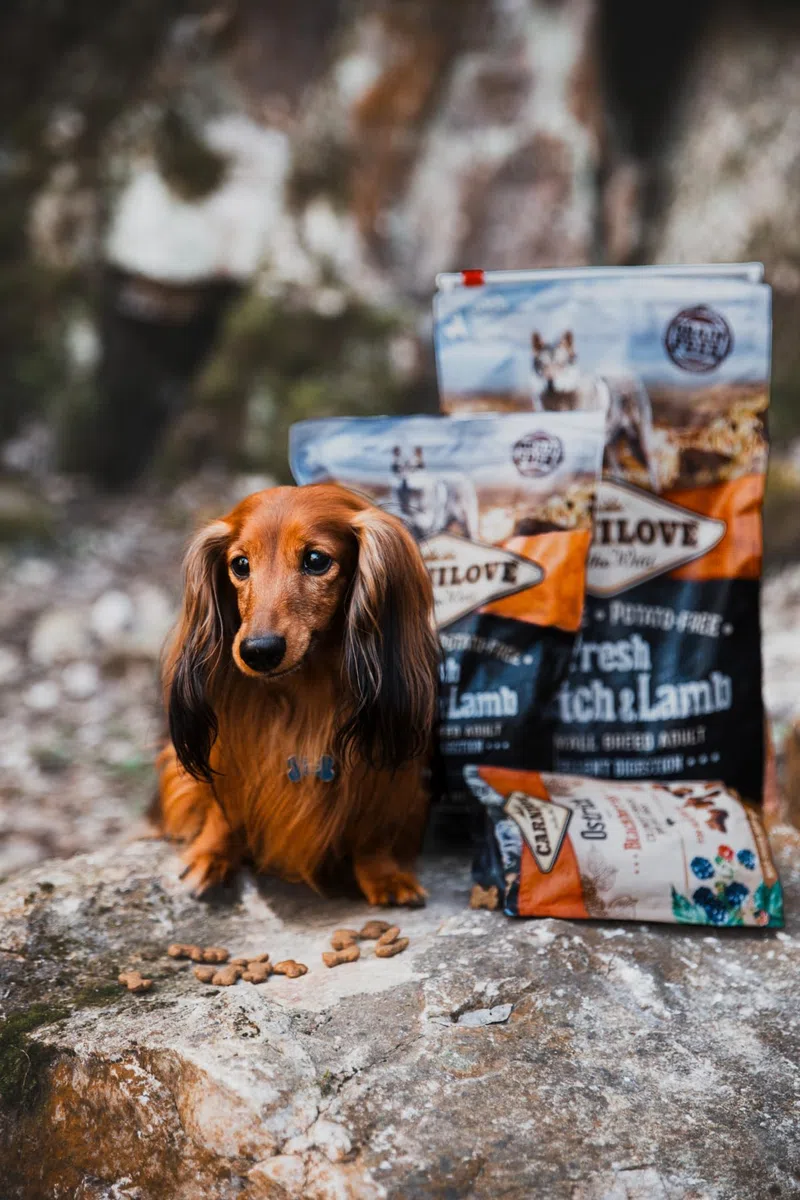 Carnilove Canine Adult Small Fresh Avestruz Cordero 6Kg 6000 g