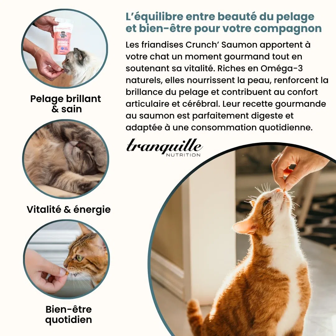 Tranquilo Crunch' Salmón para Gatos (40 x 60 g) | Dulces Ricos en Omega 3 y ácidos grasos | Piel Saludable y Pelaje Brillante | Soporte Articular y Cerebral | Croqueta Gato