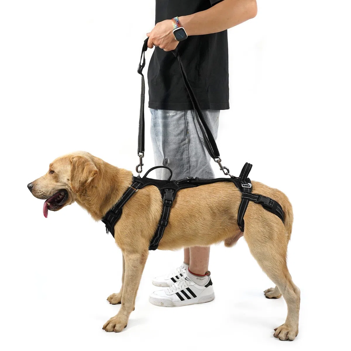 COODEO Mobility Arnés de elevación para perros, eslinga de apoyo y eslinga para caminar para perros, chaleco de soporte para rehabilitación de patas traseras de mascotas, transportador para perros