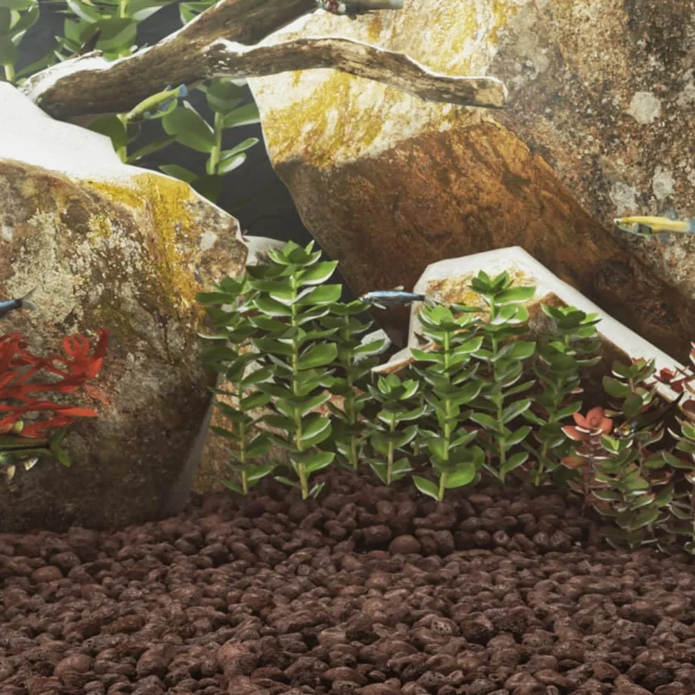 Genérico Rocas volcánicas Rojas 10 kg 3-5 cm,Producto para Mascotas y Animales,Productos para Mascotas,Productos para Peces,Decoración de acuarios-155313