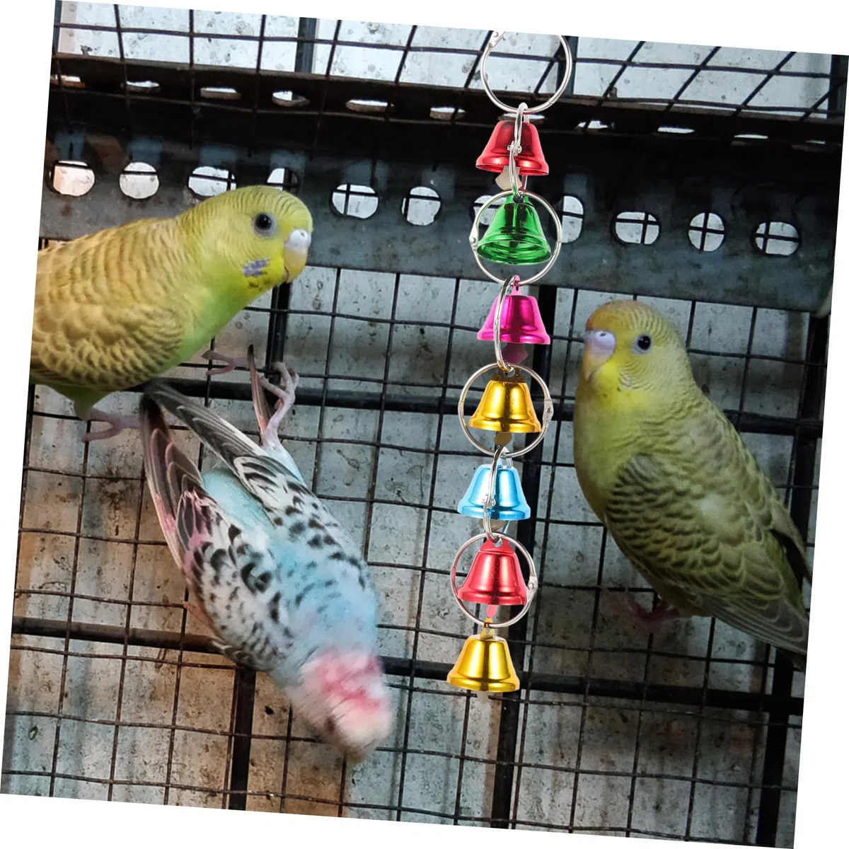 Yardwe 12piezas Campanas para Aves Juguetes Colgantes para Periquitos y Diversión para Decoración De Jaula y Juguetes De Masticar