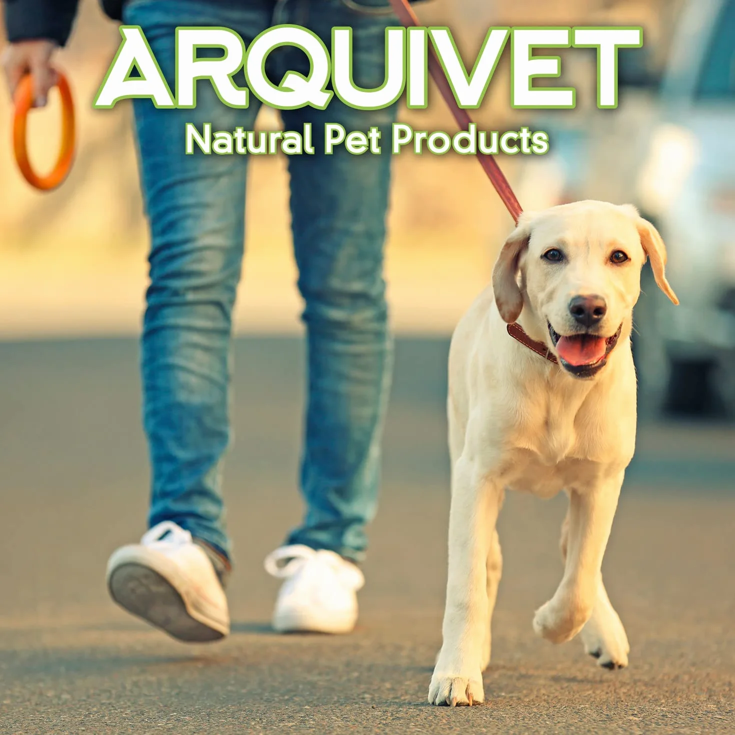 ARQUIVET - Oreja de Cerdo ibérico Extra Grande - (Bolsa 30 Unidades) - Natural Snacks para Perros