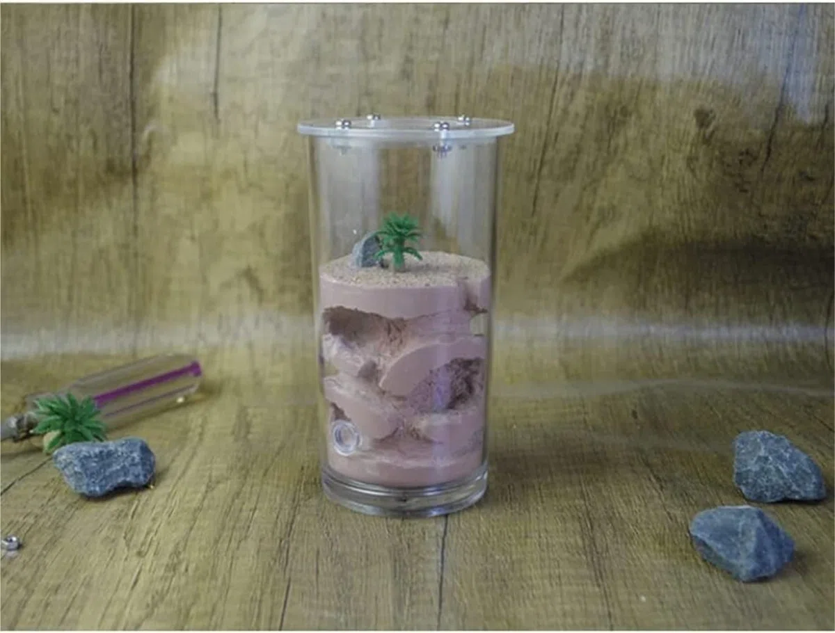Acrylic Ant Castle