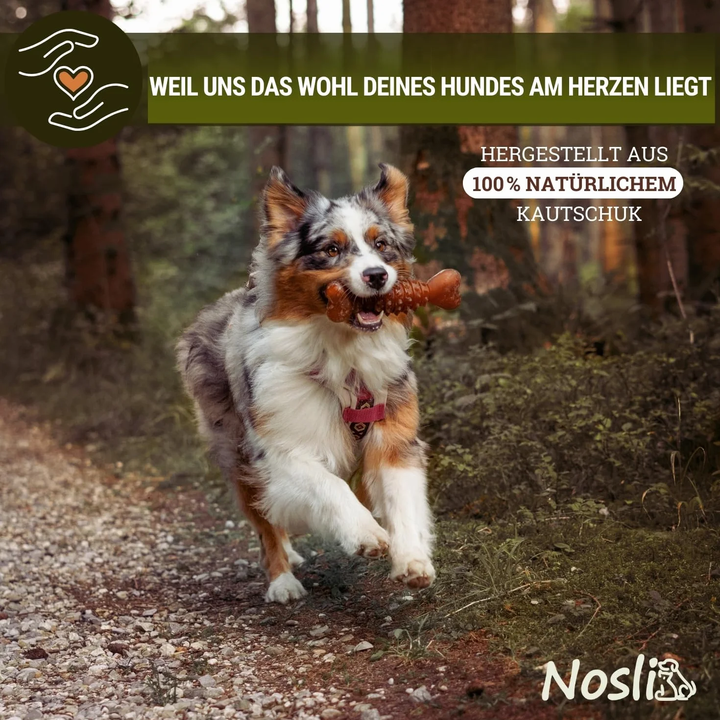 Natural Toys - Juego de juguetes para perros • 100% caucho natural • Cuidado dental y masticable • Juguetes resistentes para lanzar y tirar para perros pequeños y grandes • Juguetes de