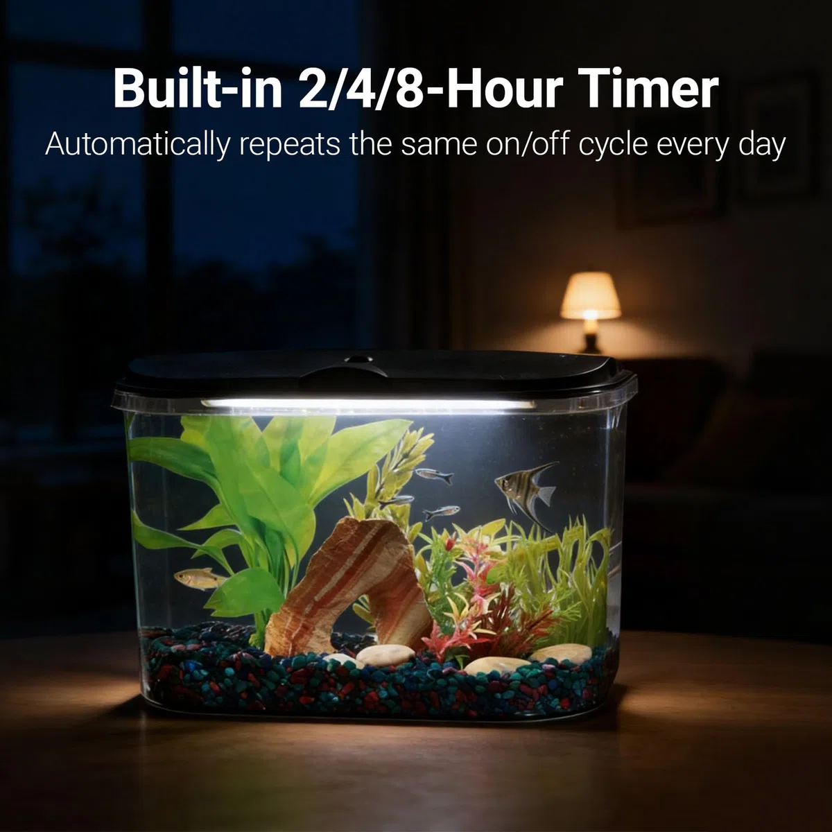 Koller Products Kit de acuario de 5 galones con iluminación LED y filtro de potencia, ideal para una variedad de peces tropicales