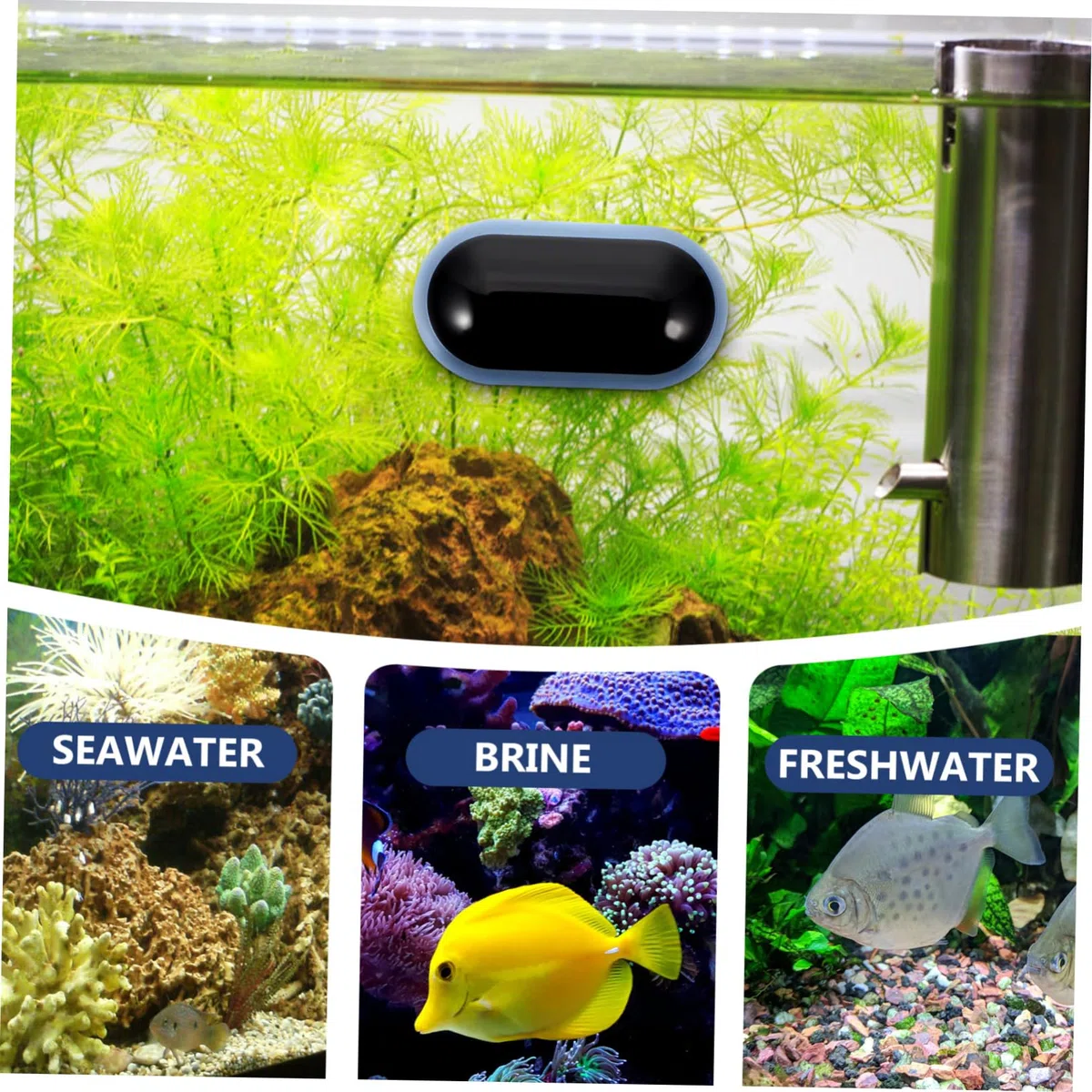 Toddmomy 5piezas Digital De Acuario Medidor De Temperatura De Agua Pantalla Led Para Peceras y Tanques De Betta Fácil Instalación y Alta Precisión