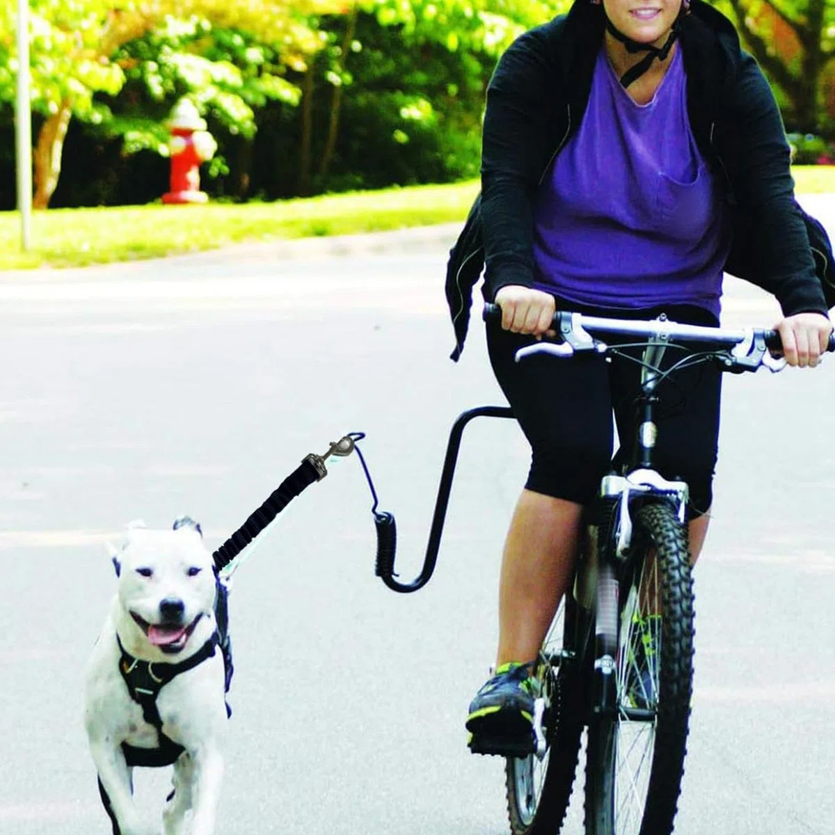 Correa para Perro Bici con Manos Libres Accesorio Resistente Antichoque Portátil y Fácil de Instalar Adecuado para Ciclismo y Actividades Recreativas