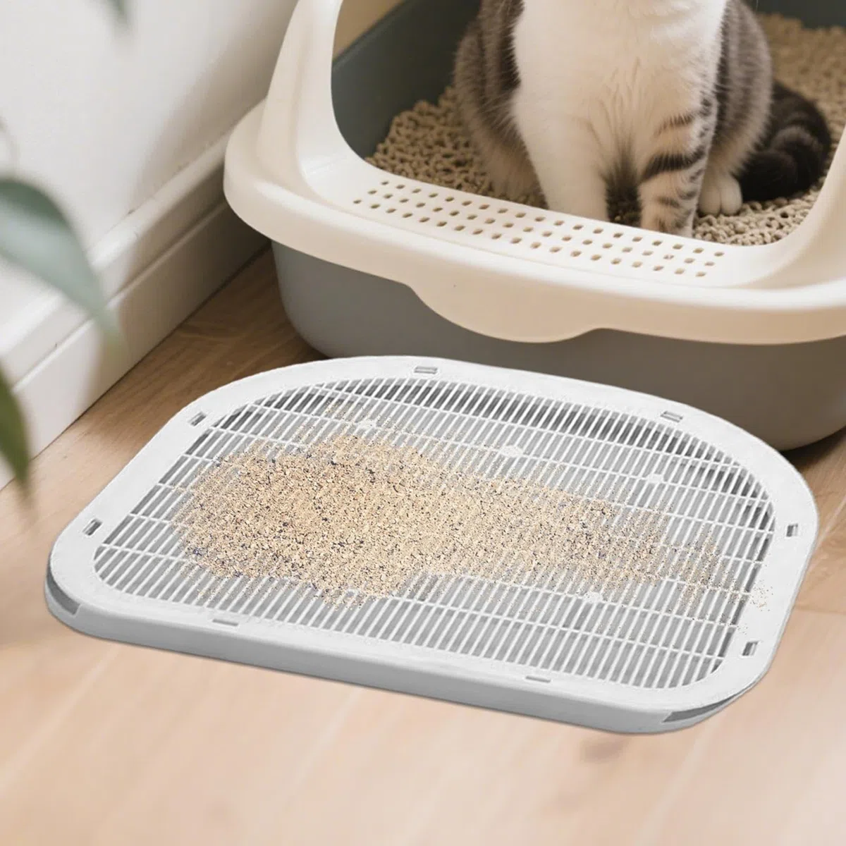 Paso o escalón para arenero de gatos Trampa Lavable Antirrastreo para
