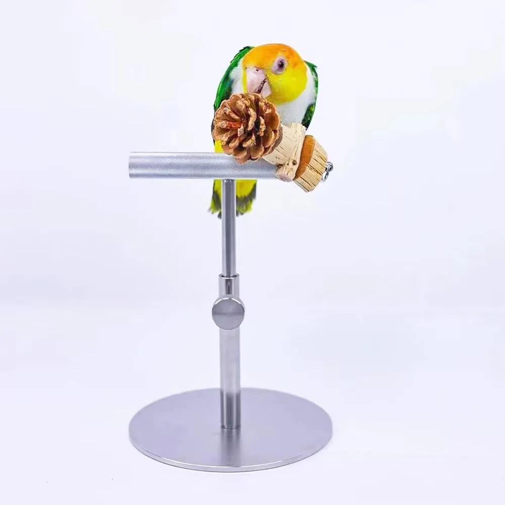 Soporte de Escritorio para Loros, Percha de Entrenamiento Totalmente Metálica para Aves