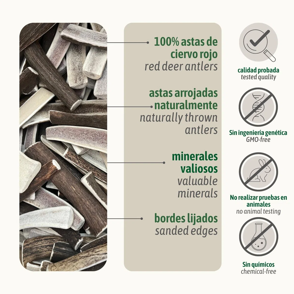 ChronoBalance-XXL Asta de Ciervo para Perros Partido por la Mitad, 100% Natural, Snack para el Cuidado Dental, Juguete para Perros, Huesos sin químicos, Conjunto de 2