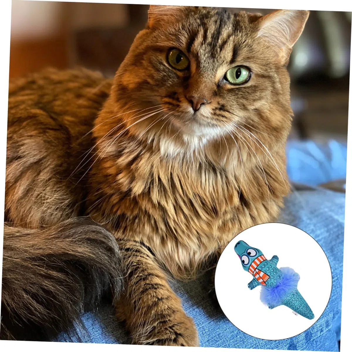 DOITOOL 3piezas Juguete De Gato De Forma De Cocodrilo Hierba Gatera Almohada Interactiva para La Curiosidad y Diversión De Tus Mascotas